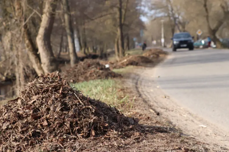 Областной субботник собрал 28 марта и руководителей, и представителей трудовых коллективов Октябрьщины. - 5360118768007