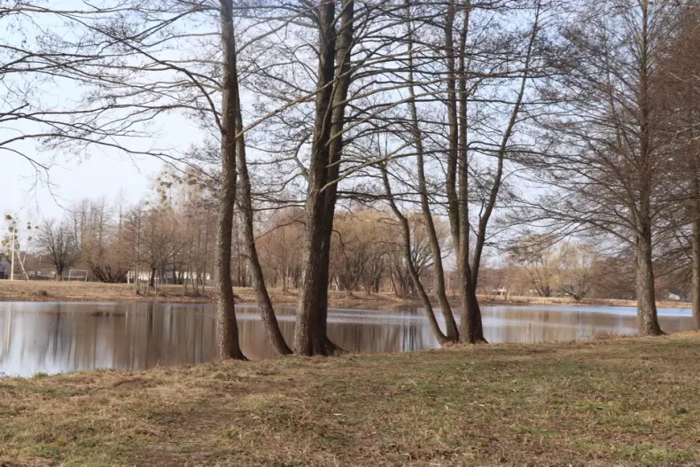 Областной субботник собрал 28 марта и руководителей, и представителей трудовых коллективов Октябрьщины. - 5360118744711