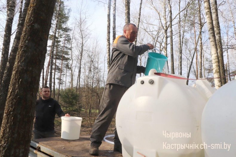 В Октябрьском лесхозе идет активная  заготовка березового сока. - 5360161187719