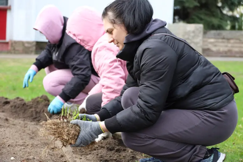 В Год белорусской женщины  в центре горпоселка Октябрьский активистки первичек районной организации общественного объединения   "Белорусский союз женщин", возглавляет которую Валентина Шлапакова, обновляют клумбу. - 5360422020999