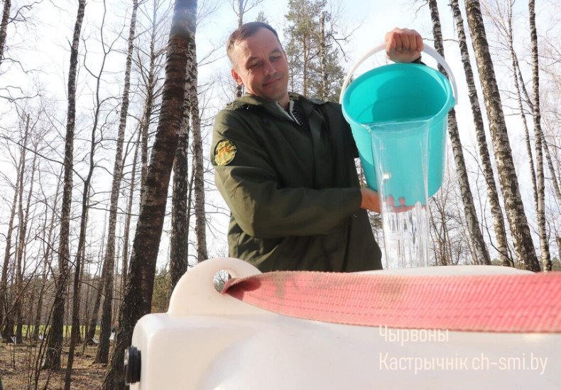 В Октябрьском лесхозе идет активная  заготовка березового сока. - 5360161185415