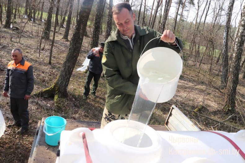 В Октябрьском лесхозе идет активная  заготовка березового сока. - 5360161188743