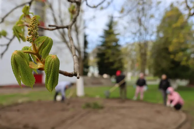 В Год белорусской женщины  в центре горпоселка Октябрьский активистки первичек районной организации общественного объединения   "Белорусский союз женщин", возглавляет которую Валентина Шлапакова, обновляют клумбу. - 5360422007687