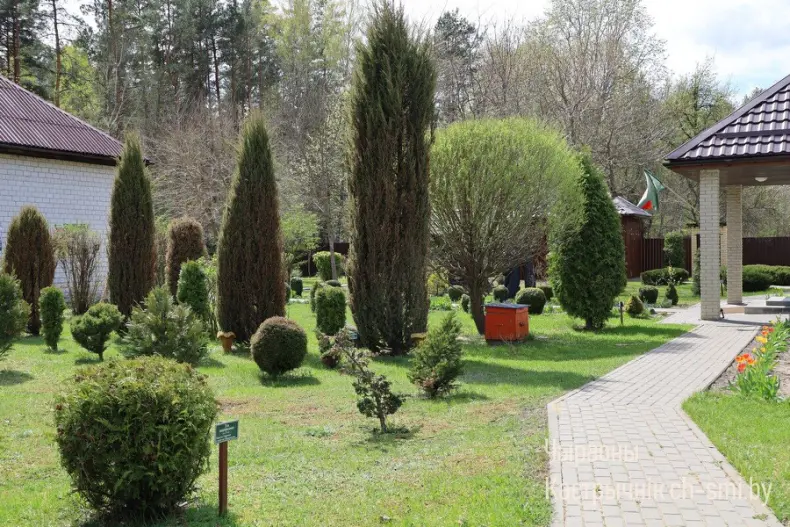 «Вместе строим Беларусь» — под таким названием в Гомельской области проходит патриотическая акция, Она приурочена к Празднику труда. - 5360424354951