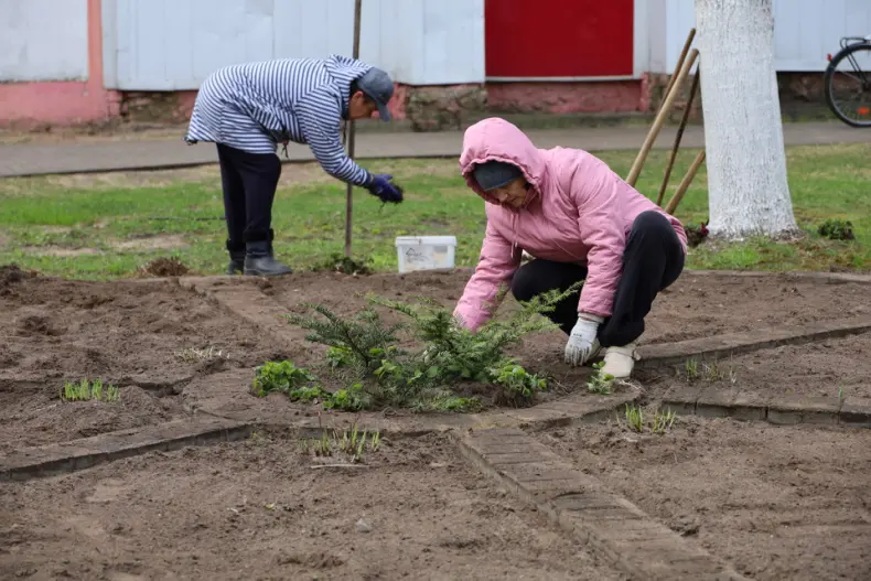 В Год белорусской женщины  в центре горпоселка Октябрьский активистки первичек районной организации общественного объединения   "Белорусский союз женщин", возглавляет которую Валентина Шлапакова, обновляют клумбу. - 5360422010247