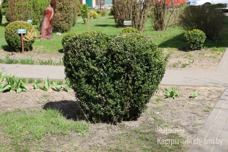 «Вместе строим Беларусь» — под таким названием в Гомельской области проходит патриотическая акция, Она приурочена к Празднику труда. - 5360424354183