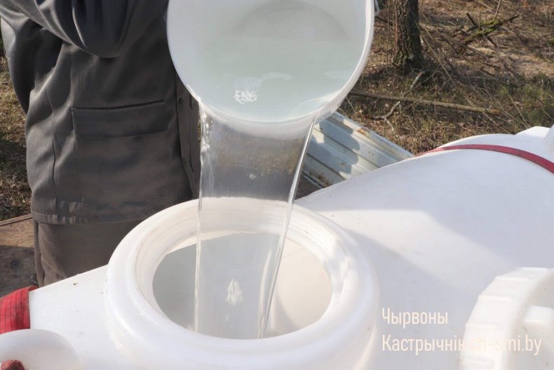 В Октябрьском лесхозе идет активная  заготовка березового сока. - 5360161187975