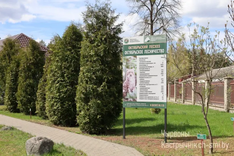 «Вместе строим Беларусь» — под таким названием в Гомельской области проходит патриотическая акция, Она приурочена к Празднику труда. - 5360424354695