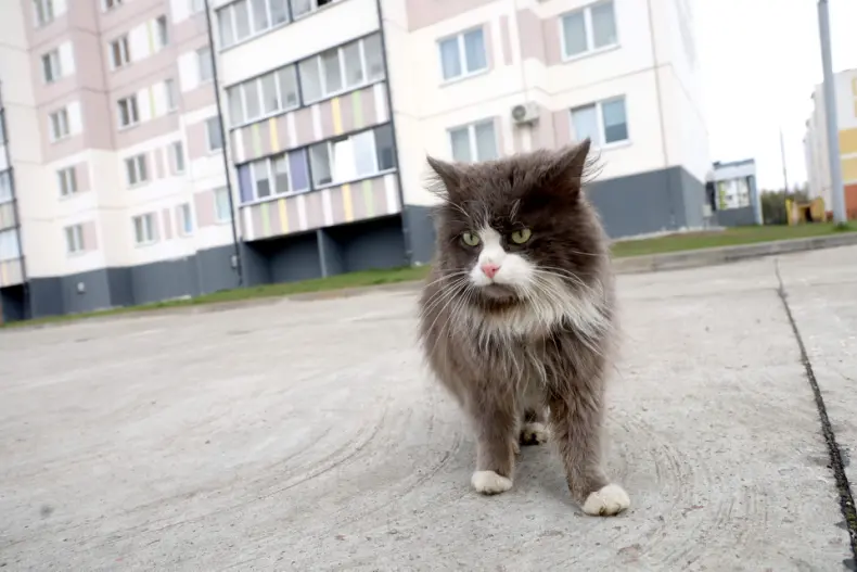 В Октябрьском проходит республиканский субботник. - 5360349648263