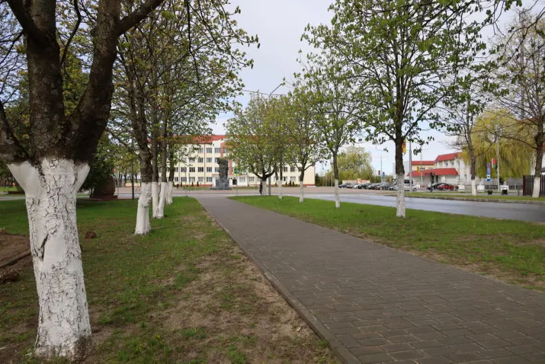 В Год белорусской женщины  в центре горпоселка Октябрьский активистки первичек районной организации общественного объединения   "Белорусский союз женщин", возглавляет которую Валентина Шлапакова, обновляют клумбу. - 5360422007175