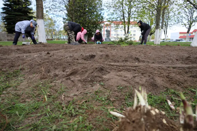 В Год белорусской женщины  в центре горпоселка Октябрьский активистки первичек районной организации общественного объединения   "Белорусский союз женщин", возглавляет которую Валентина Шлапакова, обновляют клумбу. - 5360422009223