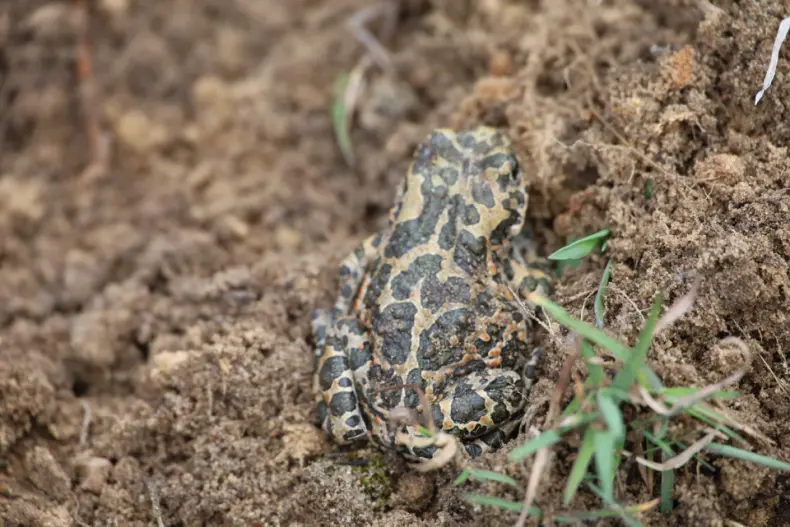 В Октябрьском проходит республиканский субботник. - 5360349558151